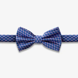Blue Pink Mesh BoTie