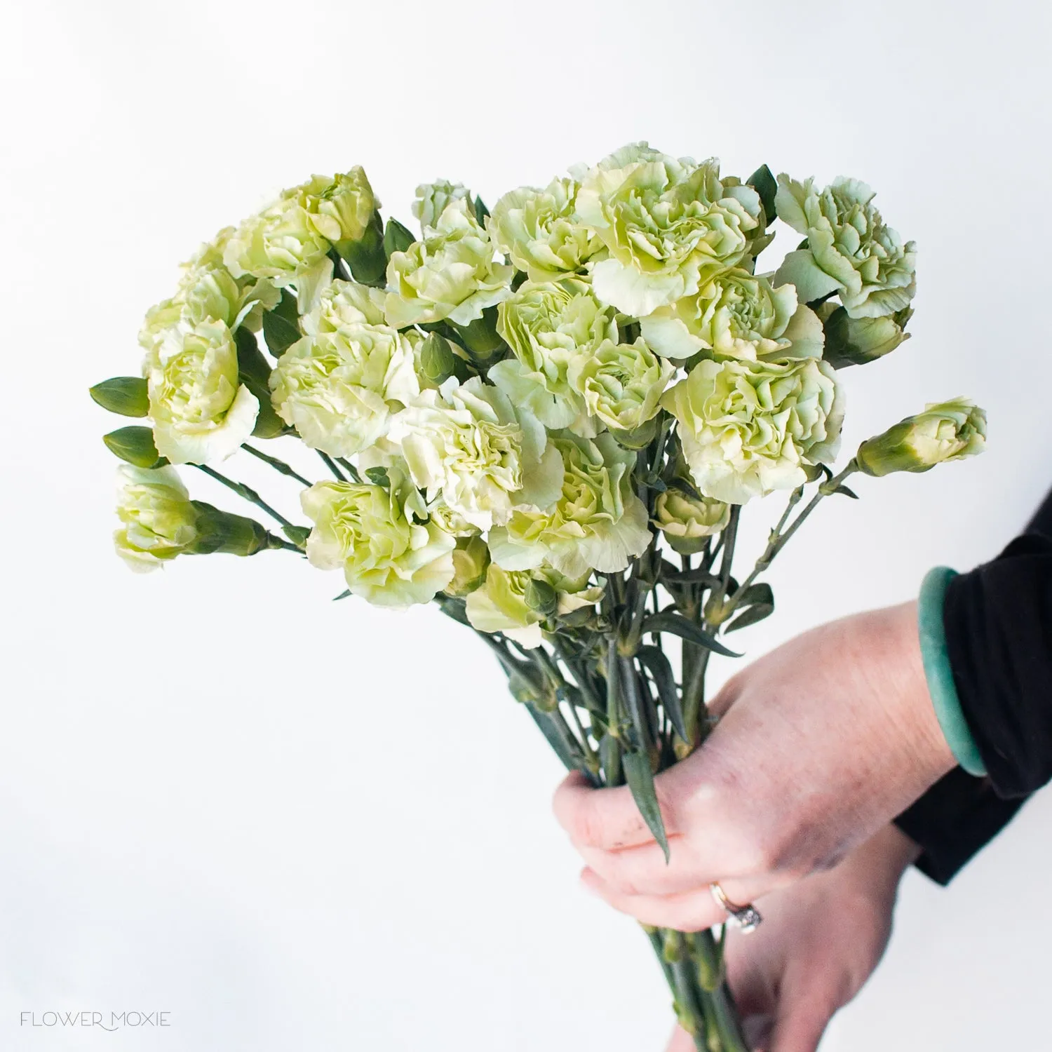 Green Mini Carnation Flower