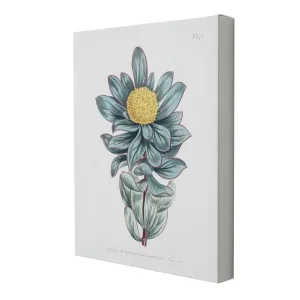 Leafy Green Dandelion Floral Canvas Wall Art Print - 11"x14"