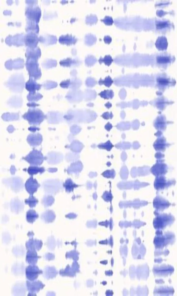 Modern Motifs Minimalist Tie Dye Wallpaper VP3101