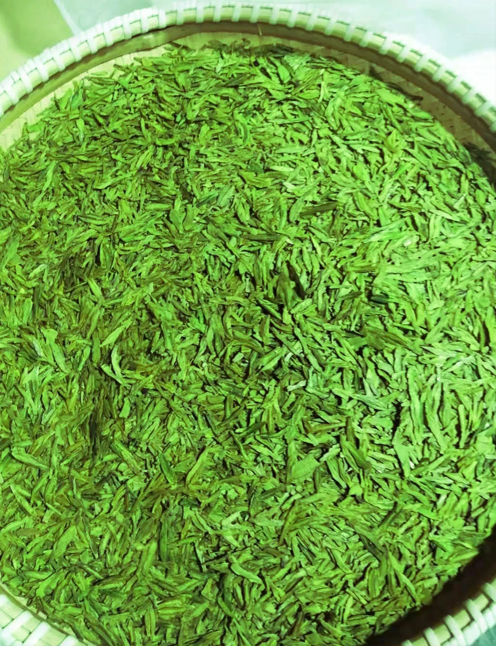 Organic Fresh Green Tea