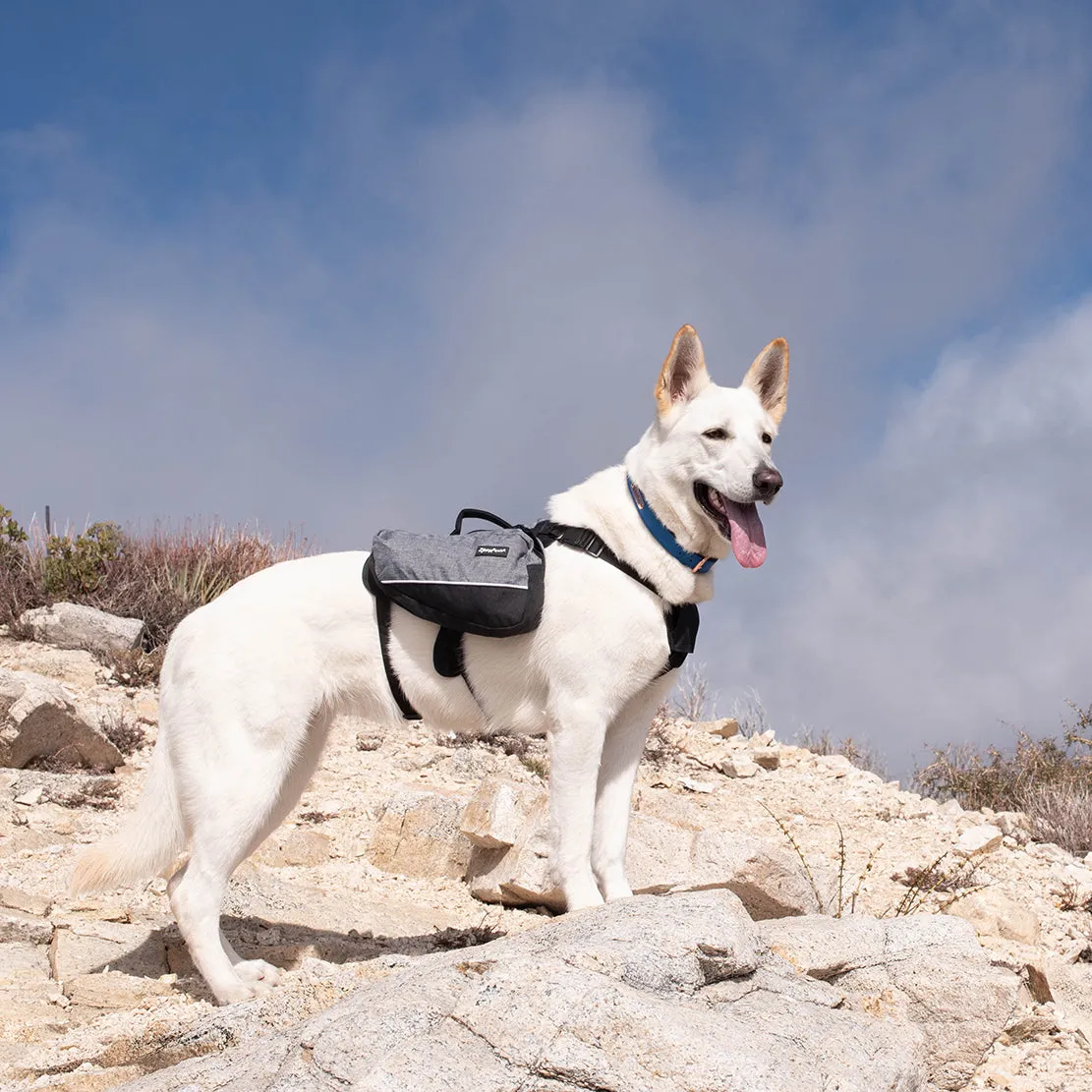 Zippy Paws Lightweight Adventure Backpack, Graphite